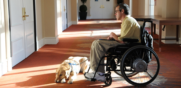 Canine Assistance Dogs