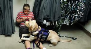 autism service dog