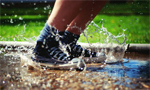 Wet Shoes Wet Shoes