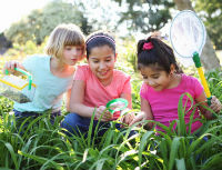 Summer Nature for Children with Special Needs Summer Nature for Children with Special Needs