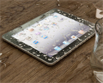 Frog Skin for the iPad 