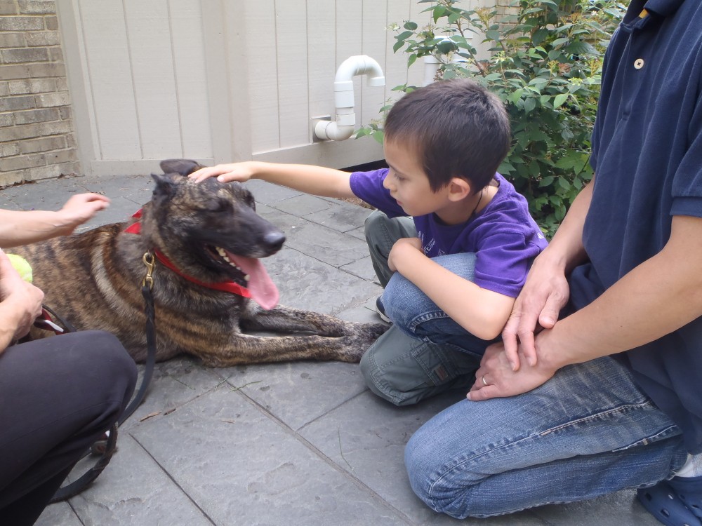 Therapy Dog Home Visits