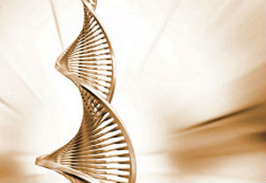 Genes Genes