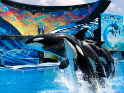 Sea World