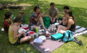 picnic