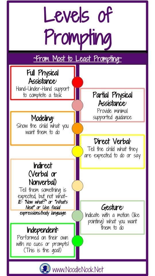 Levels of Prompting